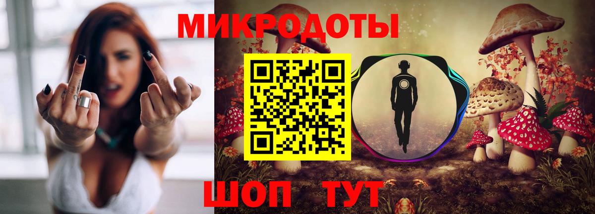 Великий Новгород  Галлюциногенные грибы Psilocybe  Псилоцибиновые грибы мицелий  Вход с VPN 