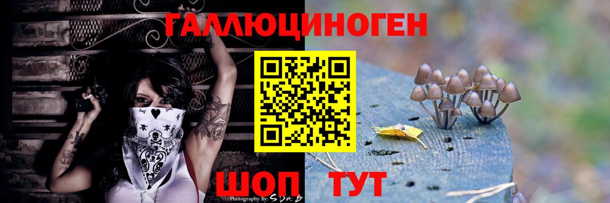 Галлюциногенные грибы мицелий Великий Новгород